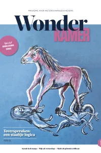 Cover van Wonderkamer 12