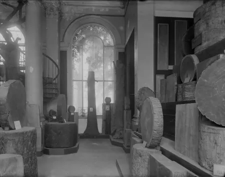 Bosmuseum, National Botanic Garden of Belgium