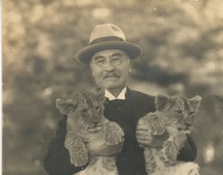 Baekeland met katten