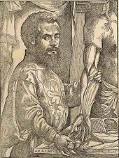 Vesalius andreas.jpg