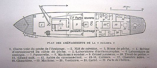 Structuurbelgica.jpg