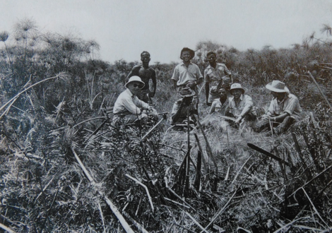 Marais de la Ndjili.png