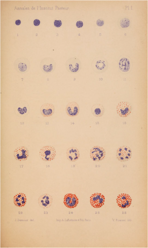 Plaat Annales de Pasteur.png