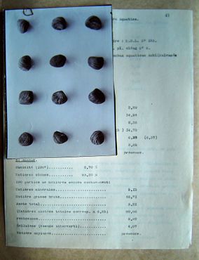 Labo Tervuren analyseformulier.jpg