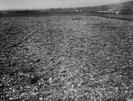 Camp à Cayaux in Spiennes, bezaaid met steenrestenn, 1910. Bron: Mines Des Spiennes Gallery